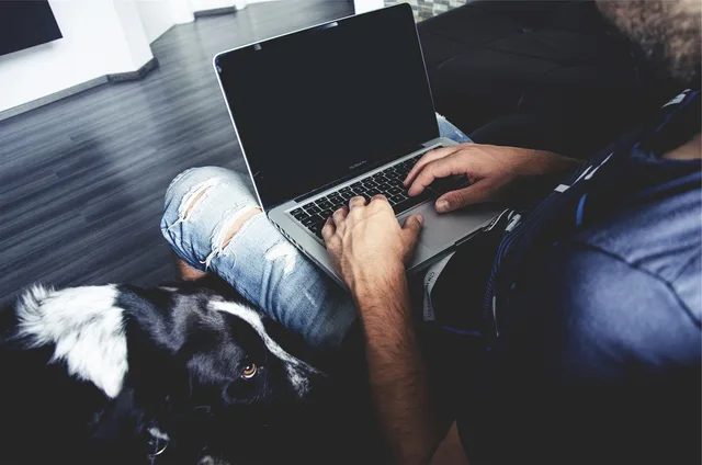 apple, macbook, laptop, computer, technology, man, guy, people, hands, dog, pet, animal, working, typing, nature, sitting, business, blue business, gray business, blue computer, gray computer, blue technology, gray technology, blue laptop, gray laptop, blue work, gray work, gray dog, blue animals, gray animals, blue apple, gray apple, blue company, gray company, blue pets, gray pets. How UK startups can win with business social selling
